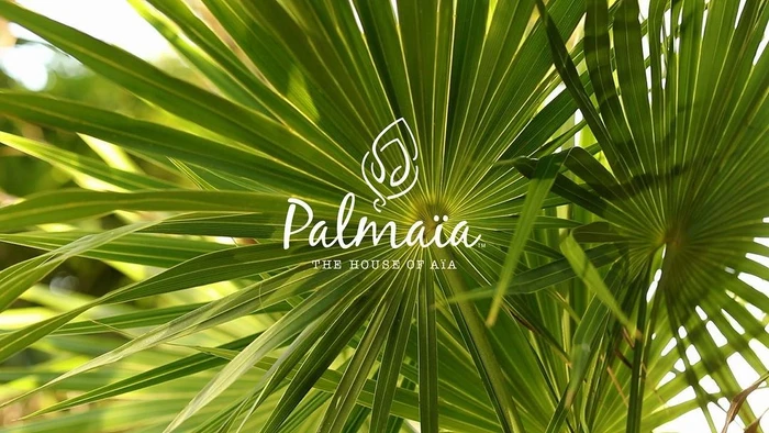 Close-up view of vibrant green palm fronds radiating outwards with overlaid white logo text reading Palmaia The House of Aia