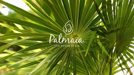 Close-up view of vibrant green palm fronds radiating outwards with overlaid white logo text reading Palmaia The House of Aia