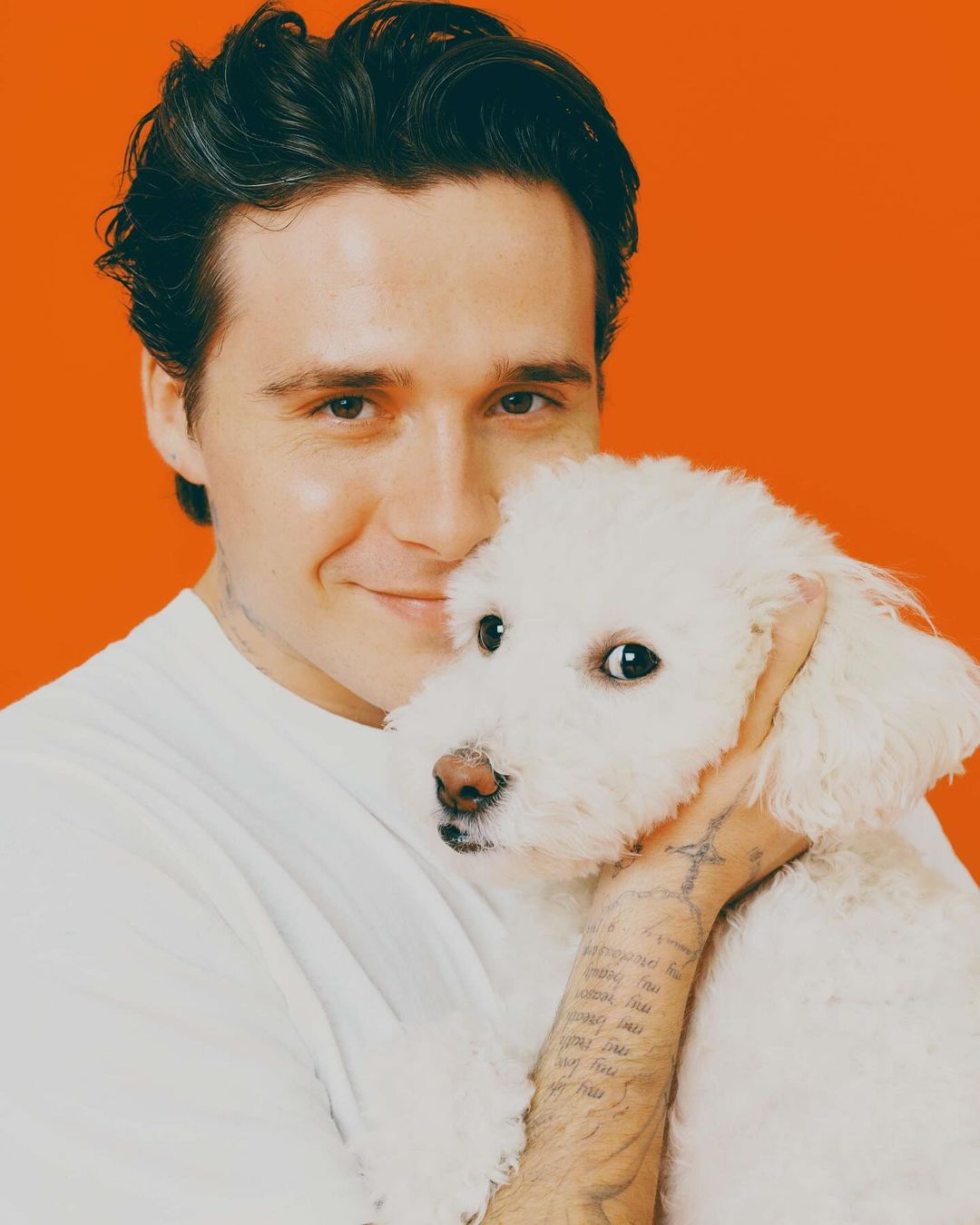 A smiling young man in a white shirt is cradling a small, fluffy white dog in a close-up portrait against an orange backdrop.