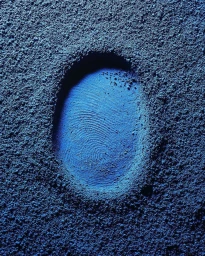 Close-up of a blue fingerprint pressed into coarse textured sand or soil by Victor Prado