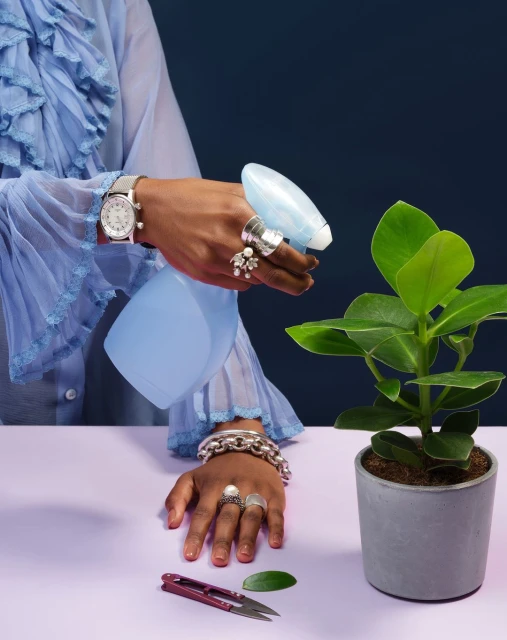 Woman waters a potted plant on a lilac table in a close-up studio shot. She wears a ruffled blue blouse and statement rings and bracelets.