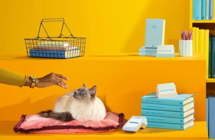 A light-beige Ragdoll cat rests on a pink cushion next to books, a card reader, and a woman's hand against a solid yellow background.