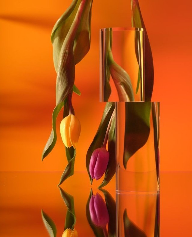 Yellow and pink tulips reflected on an orange surface, flanked by clear acrylic columns, creating a vibrant and surreal floral composition.