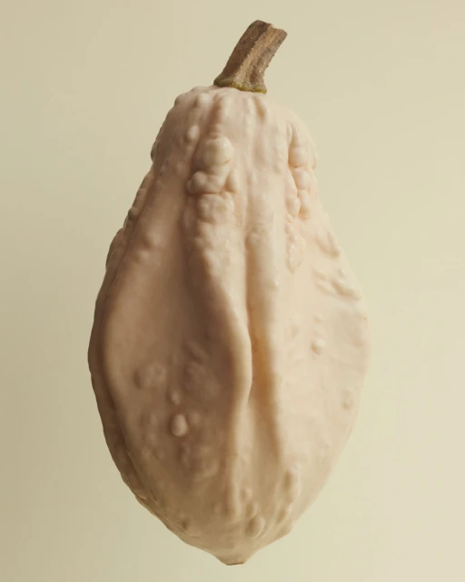 Close-up studio shot of a warty white gourd with a brown stem on a light beige background. Decorative squash for autumn season.
