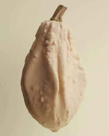 Close-up studio shot of a warty white gourd with a brown stem on a light beige background. Decorative squash for autumn season.