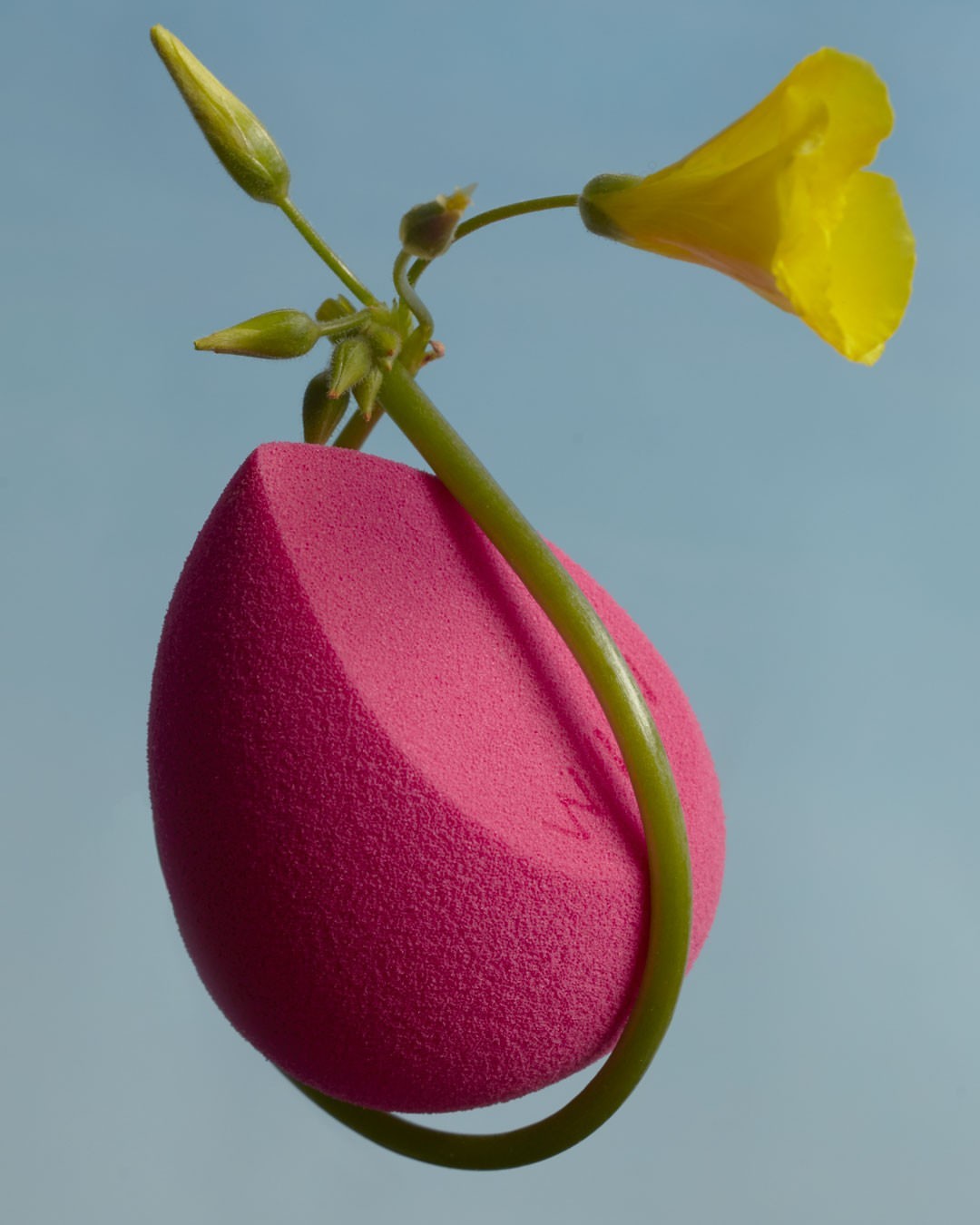 Close-up of a makeup sponge with a yellow flower and green stem, set against a soft blue background, highlighting beauty and floral elements.