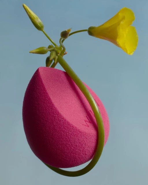 Close-up of a makeup sponge with a yellow flower and green stem, set against a soft blue background, highlighting beauty and floral elements.
