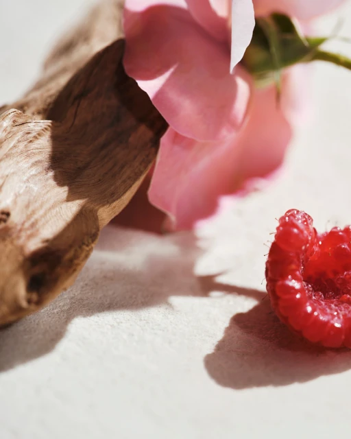 Still life shot of a pink rose blossom, raspberry, and small piece of driftwood on an off-white surface in bright, direct sunlight.
