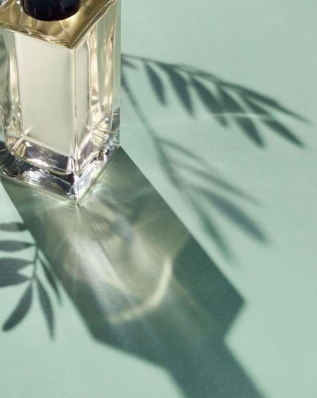 Close-up of a clear glass perfume bottle casting shadows on a light green surface, creating an elegant and minimalist composition.