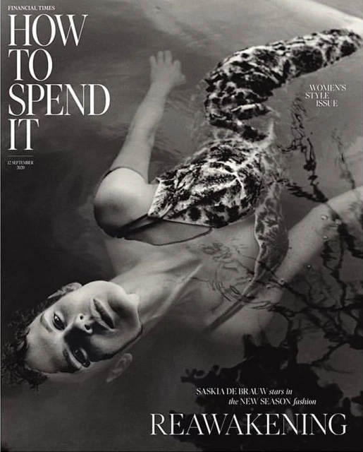 Vincent Van De Wijngaard