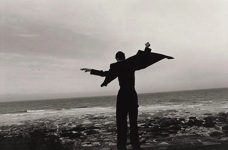 Vincent Van De Wijngaard