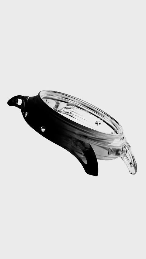 Close-up studio shot of a black and clear transparent watch case on a white background, showcasing its design and materials.