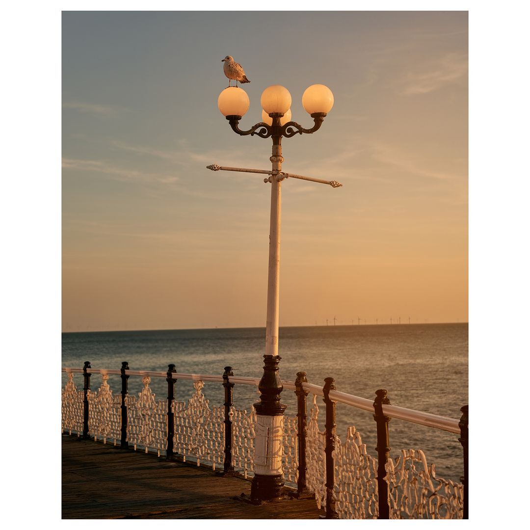 Seagull perched on a vintage lamp post near the sea, evoking a serene coastal scene with a golden sunset sky.