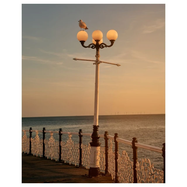Seagull perched on a vintage lamp post near the sea, evoking a serene coastal scene with a golden sunset sky.