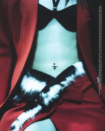 Fashion shot features a woman's torso wearing a black bra, red jacket and skirt with zebra faux fur. The background is out of focus.