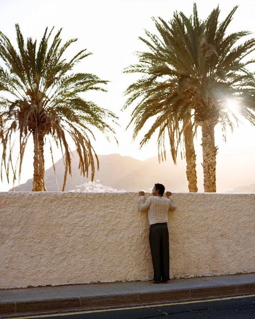 An adult male stands behind a white wall, peering over it, with palm trees and mountains in the background under a bright sky.