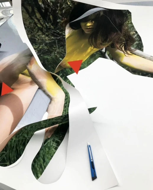 Art collage featuring a partial figure and red triangles against a white background, creating a visually fragmented and abstract composition.