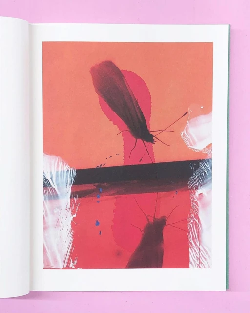Art book page featuring an abstract painting with blurred insect silhouettes on a coral and red background, accented with white paint.