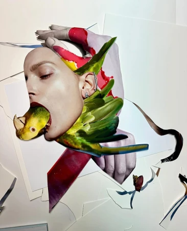 Surreal collage featuring a woman's face with a bird in her mouth, adorned with green bird feathers, and a painted hand in the background.