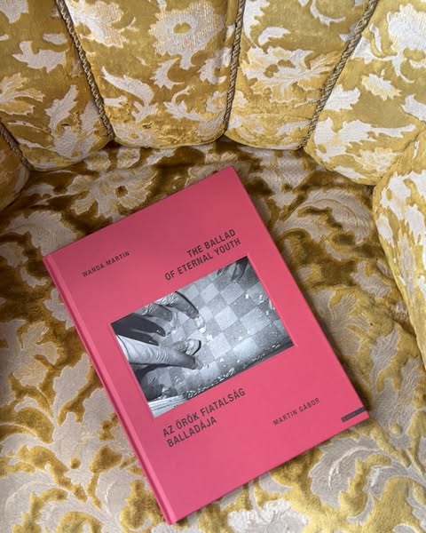 A pink book titled The Ballad of Eternal Youth resting on a textured yellow velvet armchair.