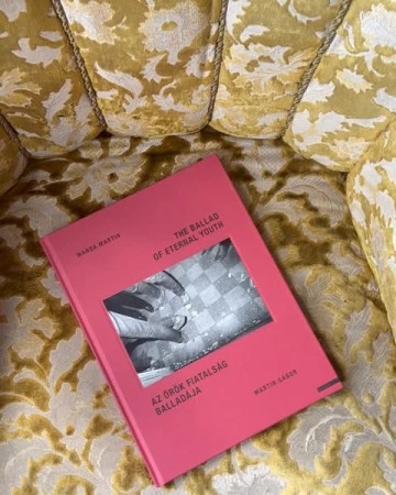 A pink book titled The Ballad of Eternal Youth resting on a textured yellow velvet armchair.
