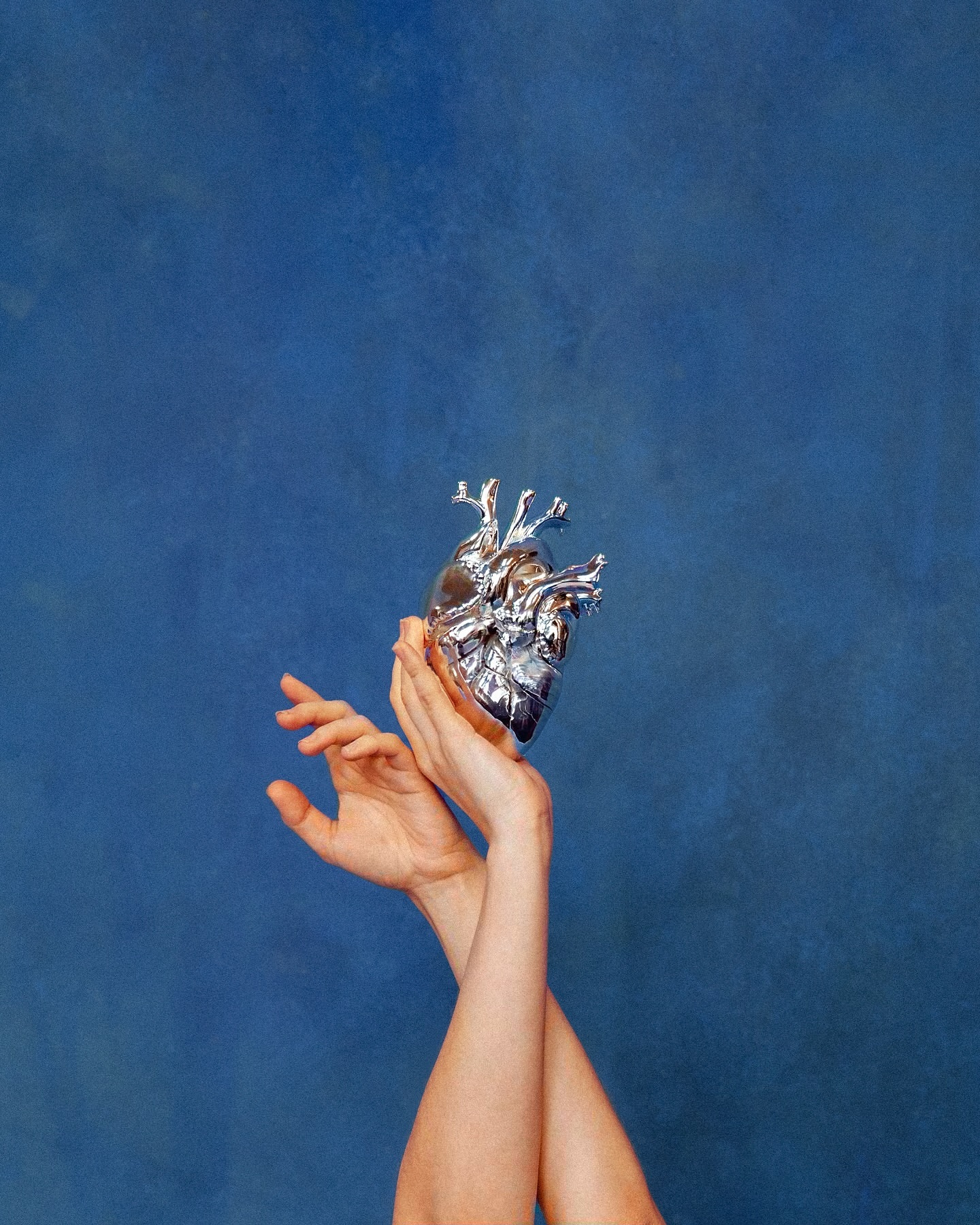 Silver anatomical heart in hands against a blue textured backdrop, highlighting a blend of medical art and conceptual photography.