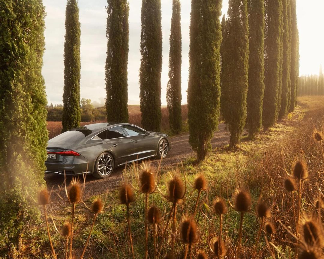 Gray Audi sedan parked on a rural road lined with tall cypress trees under a bright sky, showcasing automotive design and a scenic landscape.