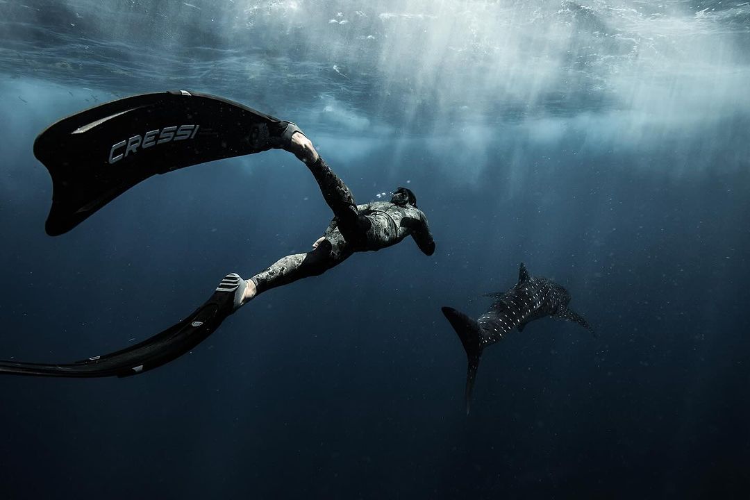 Underwater view of a diver swimming next to a whale shark, featuring a clear water environment and sunlight piercing the surface.