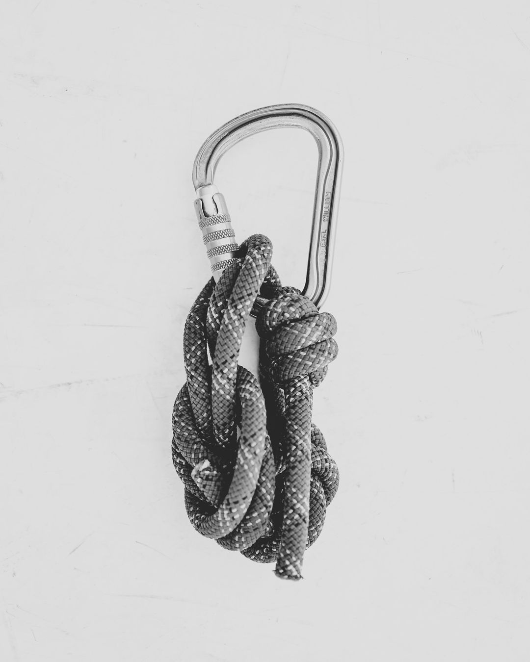 A silver carabiner is connected to a knotted climbing rope against a bright white background. Safety equipment for climbing.