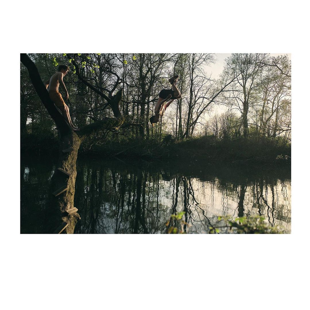 Two young men enjoy a refreshing swim in a tree-lined lake with reflections. One climbs a tree, while the other dives headfirst.