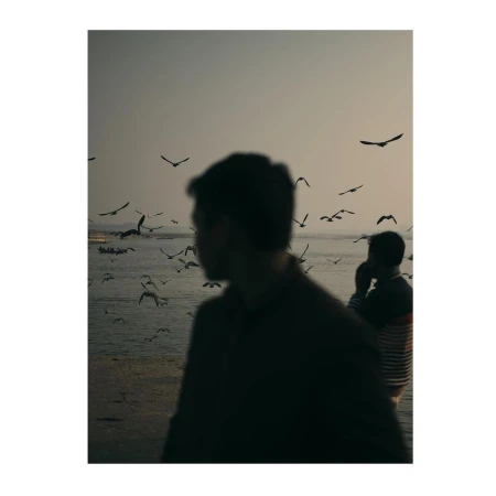 Silhouetted figures stand by the sea in a hazy scene, with a flock of birds flying overhead in the muted, tranquil light.