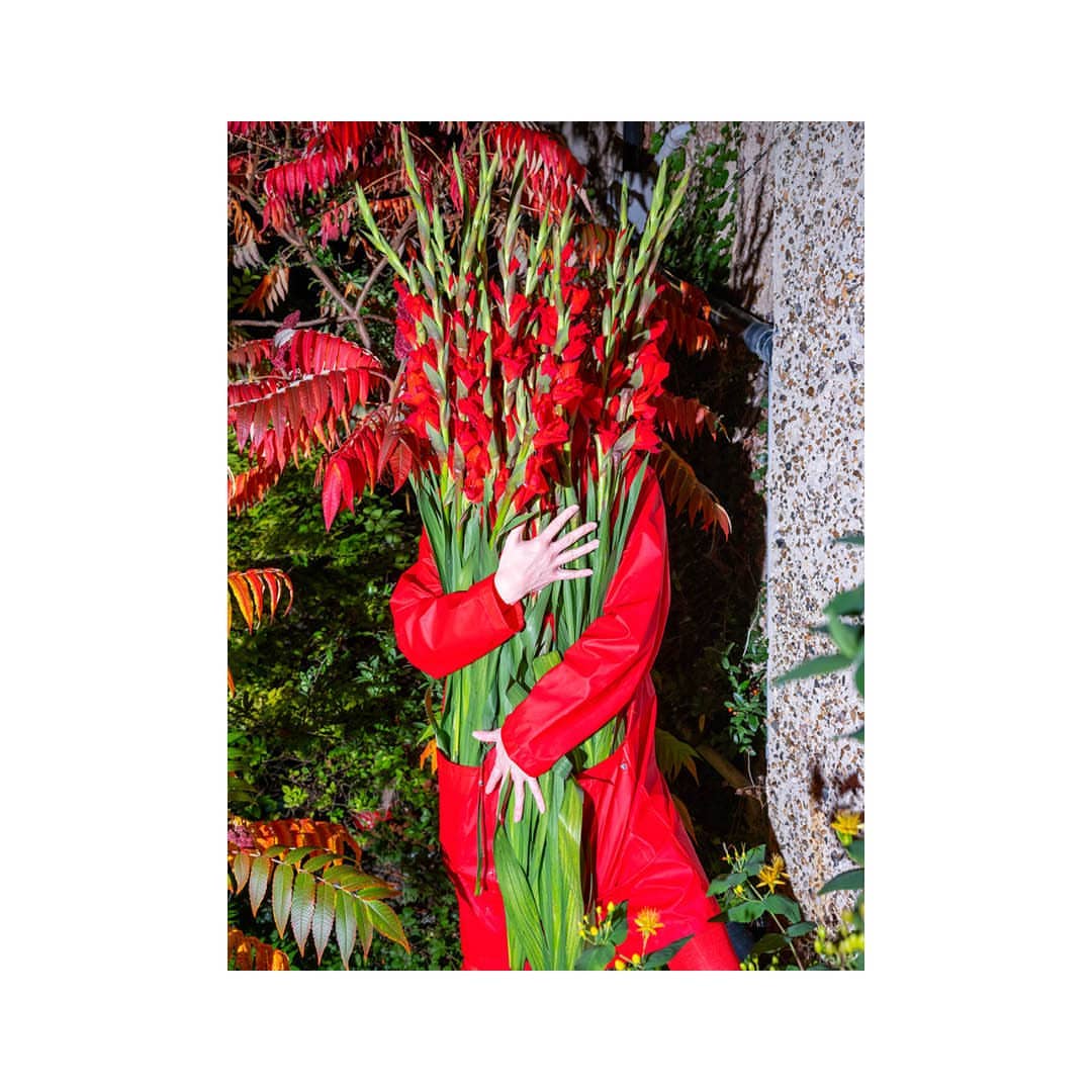 Person in a red jumpsuit stands in a garden hugging a large bouquet of red gladiolus flowers with lush green foliage in daytime lighting.