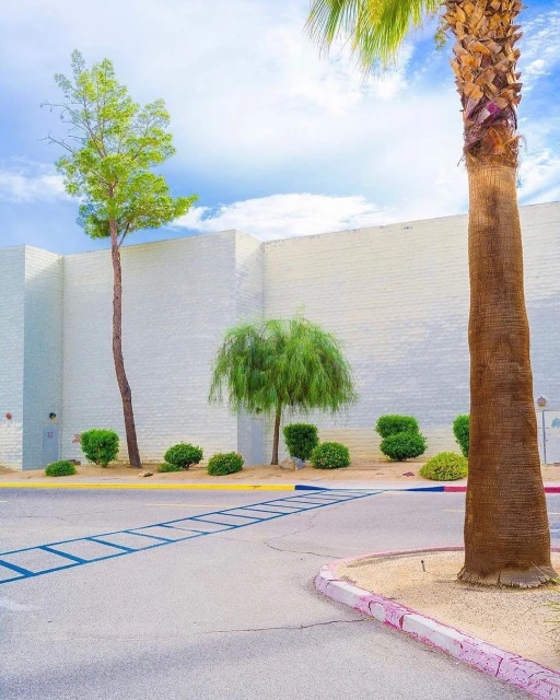 Exterior view of a minimalist architecture featuring a white brick wall, palm trees, and a modern road design on a sunny day.