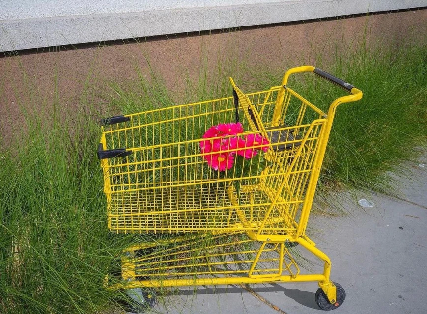 A yellow shopping cart filled with pink flowers sits on concrete next to tall green grass outside in bright sunlight.