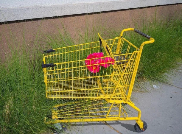 A yellow shopping cart filled with pink flowers sits on concrete next to tall green grass outside in bright sunlight.