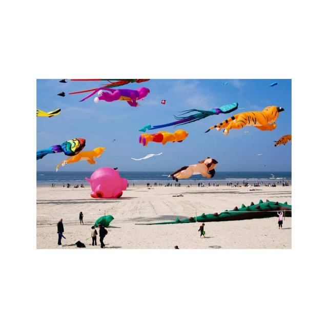 Beach festival with colorful animal-shaped kites soaring in the blue sky above the crowded shoreline on a sunny day at the coast.