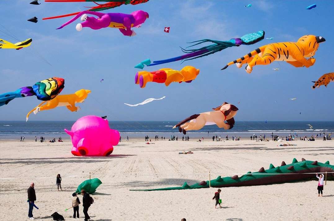 Kite festival on a sandy beach with large, colorful animal-shaped kites flying in a blue sky, silhouetted people, and ocean.