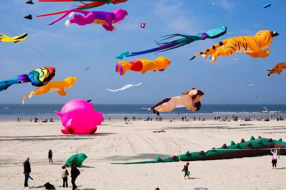 Kite festival on a sandy beach with large, colorful animal-shaped kites flying in a blue sky, silhouetted people, and ocean.