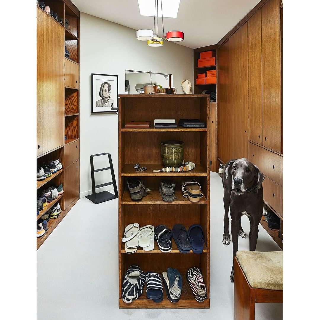 An interior view of a closet showcasing rows of shoes on shelves, alongside a sleek ladder and a grey dog standing on the side.