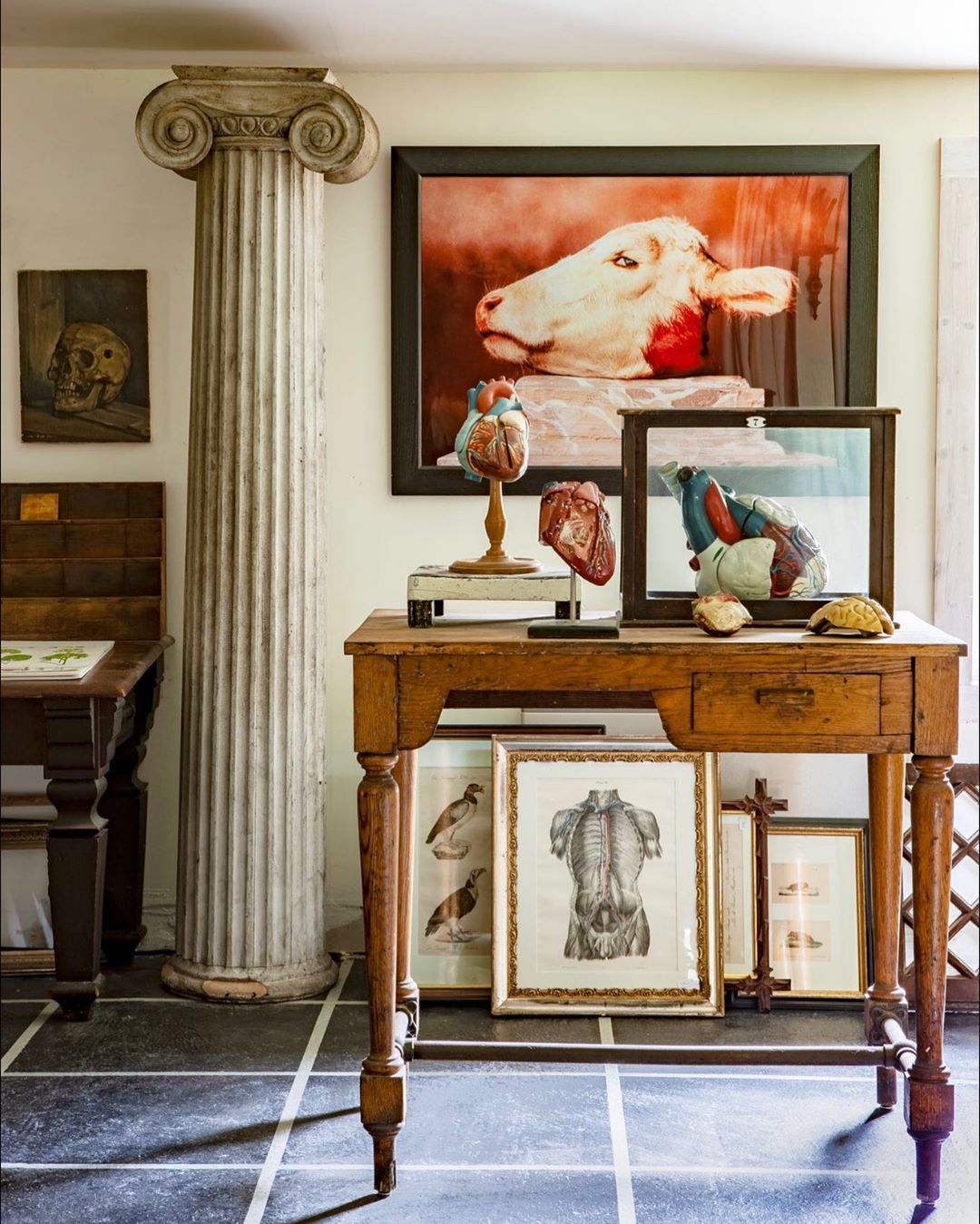 Interior scene featuring a wooden desk with anatomical models, animal art, and a classical pillar with checkered tile flooring.
