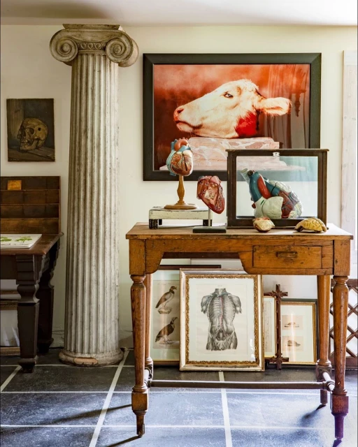 Interior scene featuring a wooden desk with anatomical models, animal art, and a classical pillar with checkered tile flooring.