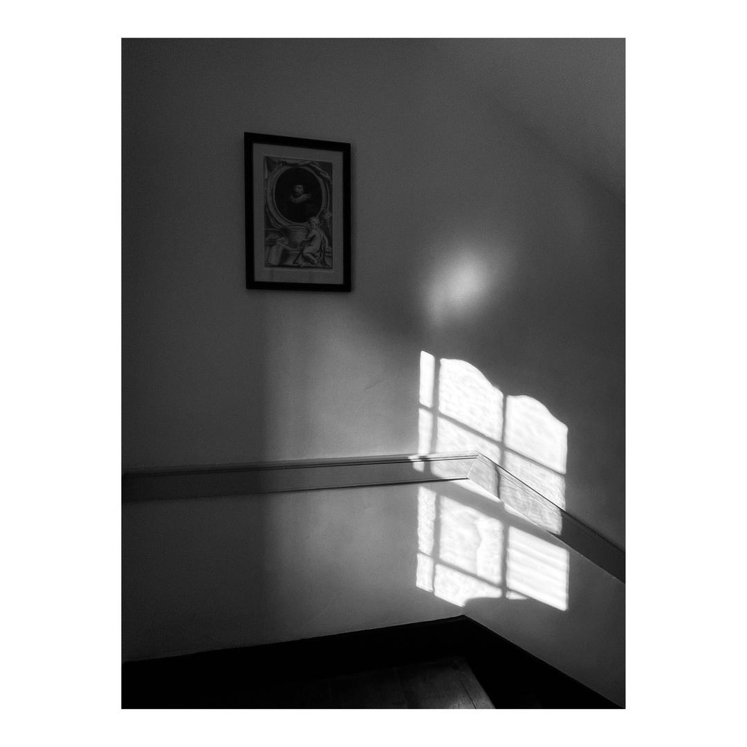 Monochromatic interior shot of a white wall with dark hardwood floors, featuring a framed artwork and stark window-pane shadows.