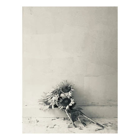 Still life of a bouquet of sunflowers leaning against a light-colored wall with fallen petals on the floor in a muted color palette.