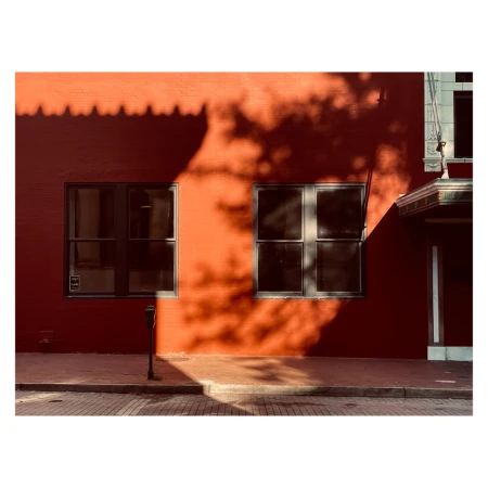 Building facade featuring two windows, illuminated by sunlight and patterned with shadows from tree branches against the red brick.