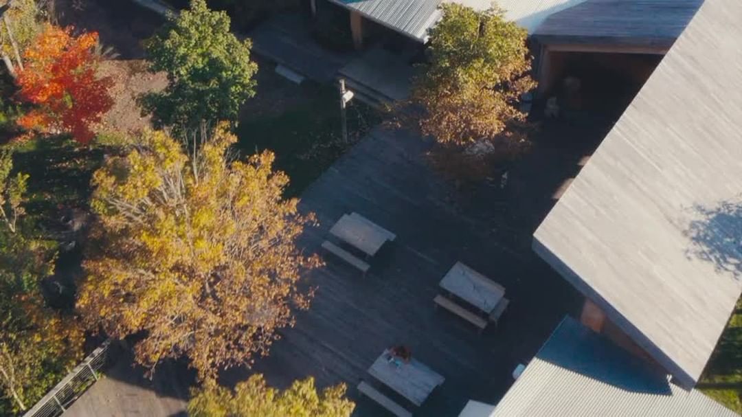 High-angle shot of a courtyard with fall foliage and wooden tables surrounded by buildings with gray roofs on a sunny day.