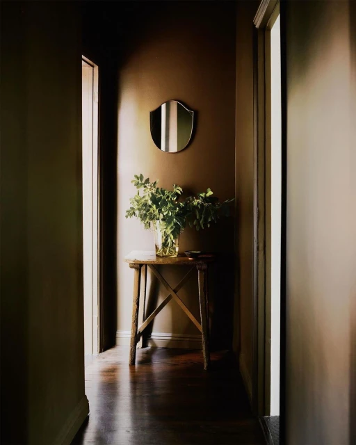 Indoor shot featuring a hallway with dark wood floors, an accent table with a vase of greenery, and a shield-shaped mirror on the wall.