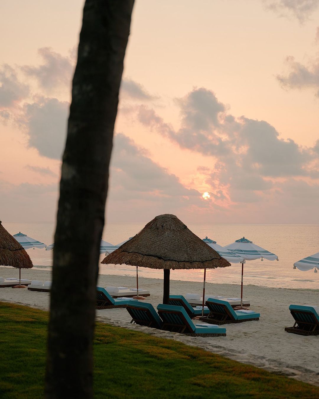 Beach scene with thatched umbrellas and lounge chairs under a pastel sky at sunrise or sunset, creating a tranquil and luxurious coastal view.