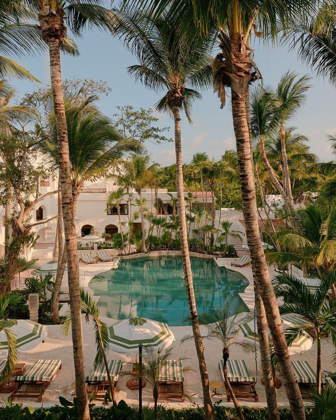 Aerial view of a tropical resort with a pool surrounded by palm trees, umbrellas, and lounge chairs near a white building.