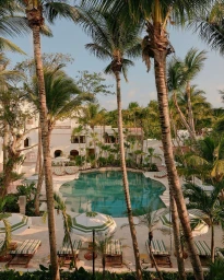 Resort swimming pool surrounded by tall palm trees, loungers with green and white striped cushions, and white umbrellas.
