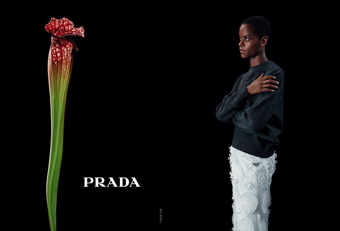 Fashion editorial shot of an African woman with a Prada sweater, skirt, and Sarracenia plant against a dark background.